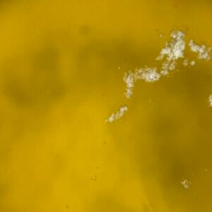 How to Make Ghee at Home (Easy Step‑by‑Step Recipe)