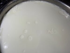 Yogurt - homemade dahi