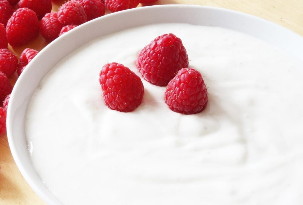 You are currently viewing Homemade Yogurt and Buttermilk Recipes