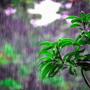 Kapha Sluggishness in Humid Weather: Simple Fixes & Kapha‑Pacifying Foods